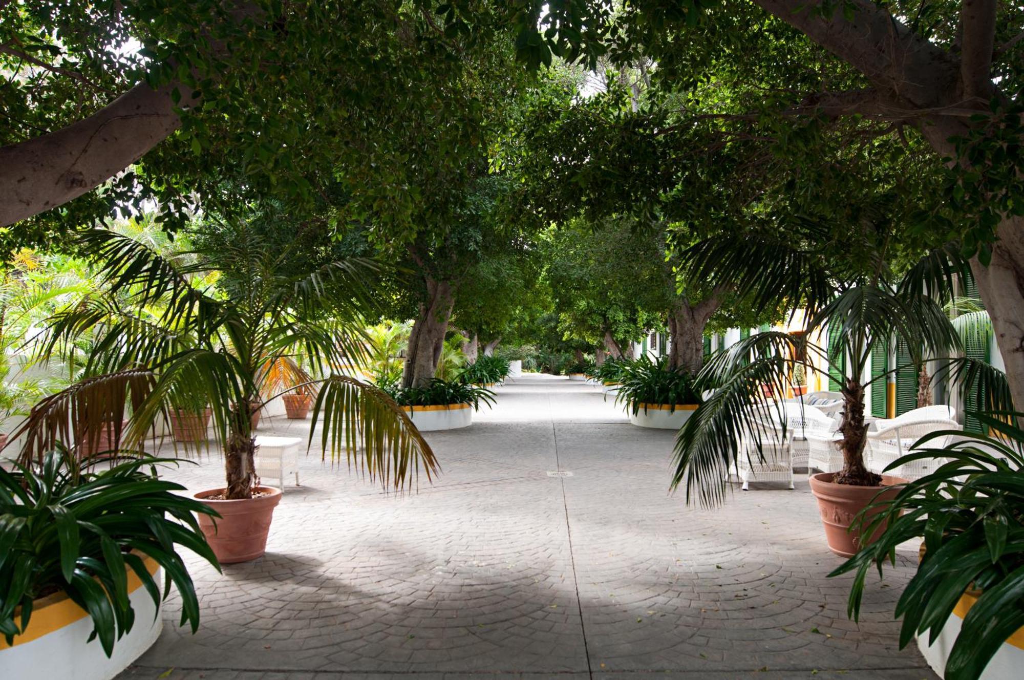 Cortijo San Ignacio Hotel El Cortijo  Exterior foto